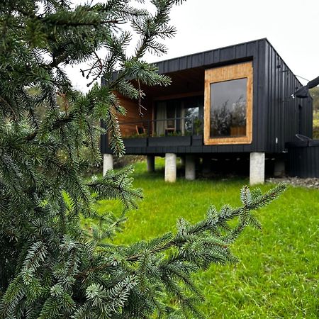 Brown Deer - Z Sauna Na Tarasie, Jacuzzi I Widokiem Na Gory - By Deer Hills Luxury Apartments Kocon Luaran gambar